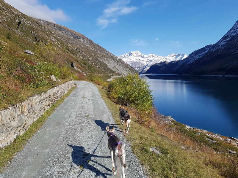 Lago di Lei 2021 003